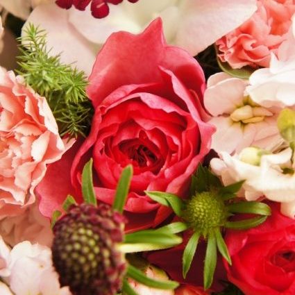 売れる花屋は知っている切花を長持ちさせる水揚げ方法 花の吸水のメカニズム 忙しくならずに利益を上げる 充実花屋をめざす フラワービジネス研究会